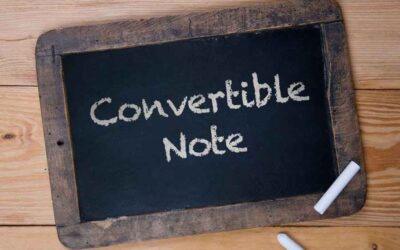 Convertible Notes