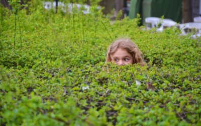 What’s Lurking in Your Cap Table?